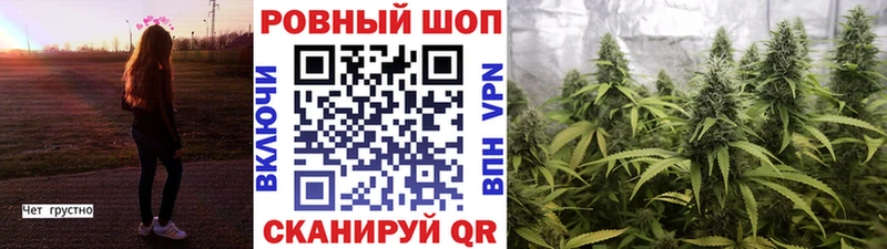 Какие есть наркотики Байкальск Alpha PVP  OMG маркетплейс  Меф мяу мяу  Каннабис  КОКАИН 