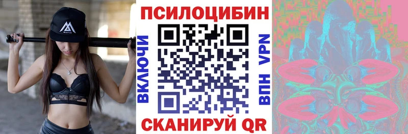 Галлюциногенные грибы Psilocybine cubensis  цена наркотик  Байкальск 